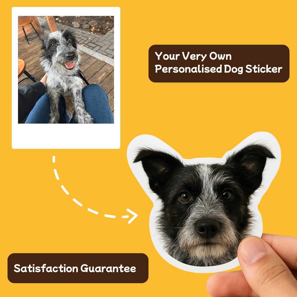 Custom Real-Life Pet Sticker (Face-Only)
